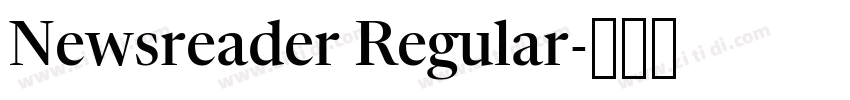 Newsreader Regular字体转换